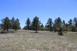 Tract 23 Pack Saddle Trail - Photo 28