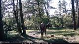 Tract 23 Pack Saddle Trail - Photo 33