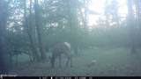 Tract 23 Pack Saddle Trail - Photo 35