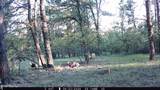 Tract 23 Pack Saddle Trail - Photo 41