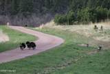 Tract 4 Bay Mountain Rd. - Photo 17