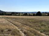 Tract 10 Painted Horse Road - Photo 1