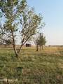 1200 Lawver Rd - Photo 47