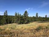 Tract 12 Black Bear Road - Photo 1