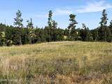 Tract 13 Soaring Eagle Road - Photo 2