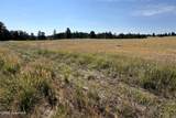 Tract 14 Soaring Eagle Road - Photo 3