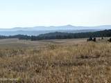 Tract 17 Black Bear Road - Photo 1