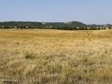 Tract 17 Black Bear Road - Photo 3