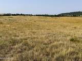 Tract 17 Black Bear Road - Photo 4
