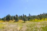 500 Mason Creek - Photo 44
