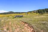 500 Mason Creek - Photo 45