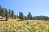 500 Mason Creek - Photo 47