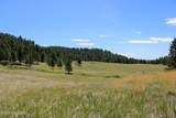 500 Mason Creek - Photo 48