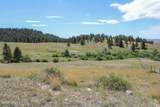 500 Mason Creek - Photo 49