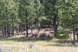500 Mason Creek - Photo 52