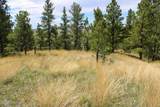 500 Mason Creek - Photo 57