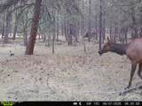 500 Mason Creek - Photo 60