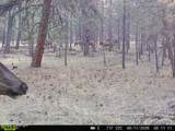 500 Mason Creek - Photo 62