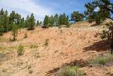 500 Mason Creek - Photo 63