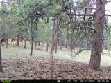 500 Mason Creek - Photo 67