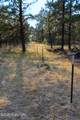 500 Mason Creek - Photo 71
