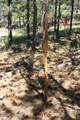 500 Mason Creek - Photo 74