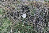 0000 Lake Ridge Rd - Photo 49