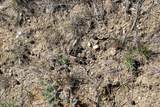 0000 Lake Ridge Rd - Photo 51