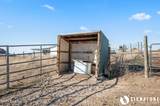 74 Penrose Peak - Photo 76