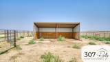 33 Bald Mountain Rd - Photo 92