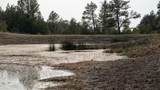 356 Jack Smith Rd - Photo 114
