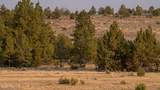 356 Jack Smith Rd - Photo 116