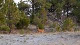 356 Jack Smith Rd - Photo 118