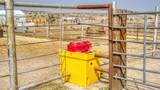 356 Jack Smith Rd - Photo 37