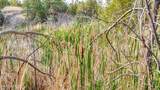 356 Jack Smith Rd - Photo 68