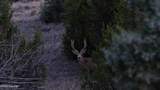 356 Jack Smith Rd - Photo 8