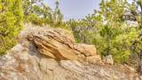 356 Jack Smith Rd - Photo 81