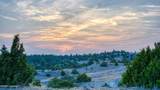 356 Jack Smith Rd - Photo 91