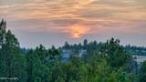 356 Jack Smith Rd - Photo 94