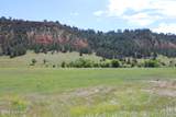 Tract 1 Belle River Ranch - Photo 10