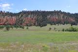Tract 1 Belle River Ranch - Photo 11