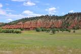 Tract 1 Belle River Ranch - Photo 12