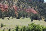 Tract 1 Belle River Ranch - Photo 13