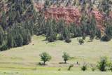Tract 1 Belle River Ranch - Photo 14