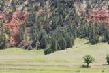 Tract 1 Belle River Ranch - Photo 15