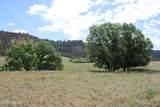 Tract 1 Belle River Ranch - Photo 16