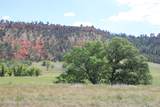Tract 1 Belle River Ranch - Photo 17