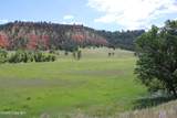 Tract 1 Belle River Ranch - Photo 18
