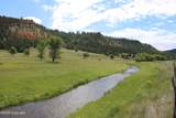 Tract 1 Belle River Ranch - Photo 19