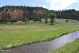 Tract 1 Belle River Ranch - Photo 20